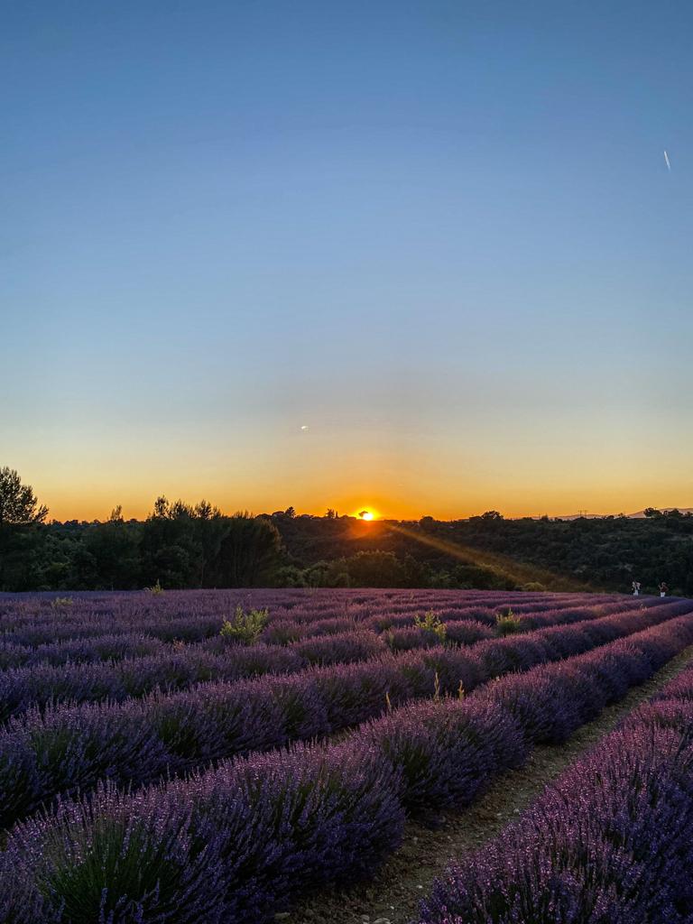 Plateau de Valensole